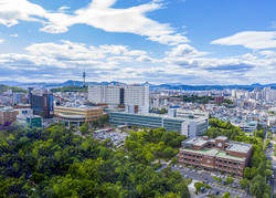 영남대의료원 전경