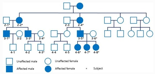 법랑질형성부전증 환자 가족의 가계도. 유전된 법랑질형성부전증은 4세대 이상의 가족에서 나타났다. 이 가족의 유전적 침투 패턴은 상염색체 우성과 X-연관 형질의 가능성을 보여주었다.