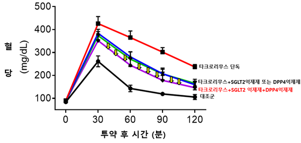 SGL2억제제와 DPP4억제제 병합투여시 혈당강화 시너지효과