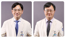 왼쪽부터 대전성모병원 이비인후과 김동기·이동창 교수