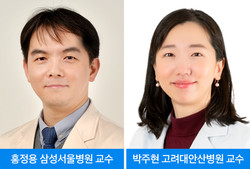 홍정용, 박주현 교수