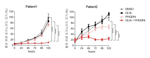 환자 유래 암 오가노이드를 활용한 모델에서 글루타민분해효소 저해제와 PHGDH 저해제를 동시 투여한 모델에서 암세포의 크기가 효과적으로 감소했다. 병용투여모델은 대조군(투약X)에 비해 환자 유래 오가노이드의 종양 크기가 5배 이상 감소했다.